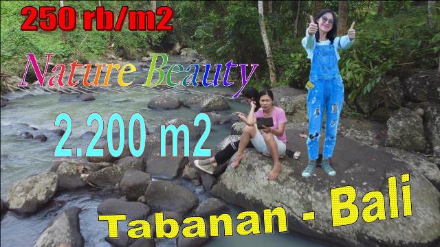 FOR SALE Beautiful PROPERTY 2,200 m2 LAND IN TABANAN TJTB622
