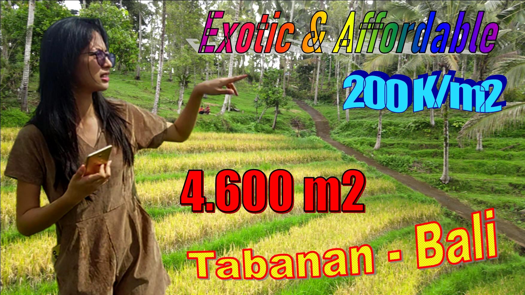 Ex0tic PROPERTY TABANAN 4,600 m2 LAND FOR SALE TJTB630