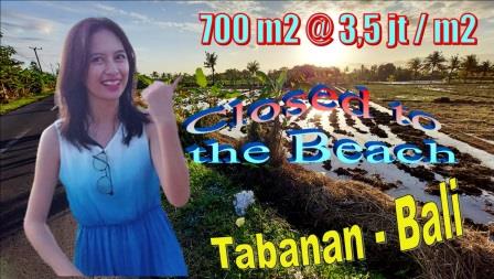 FOR SALE Beautiful LAND IN TABANAN BALI TJTB636