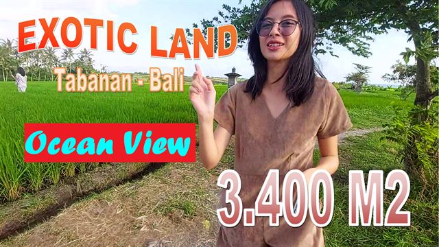 FOR SALE Affordable PROPERTY LAND IN Kerambitan Tabanan TJTB648