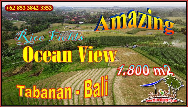 Cheap property LAND IN Kerambitan Tabanan FOR SALE TJTB657