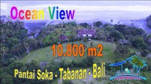 Affordable LAND FOR SALE IN Selemadeg Barat Tabanan TJTB662