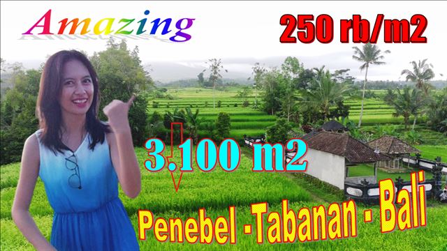 FOR SALE Affordable 3,100 m2 LAND IN Penebel Tabanan TJTB640