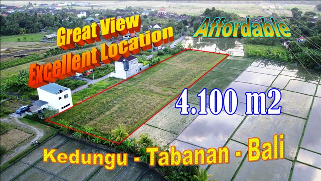 Cheap property LAND SALE IN Kediri Tabanan TJTB623