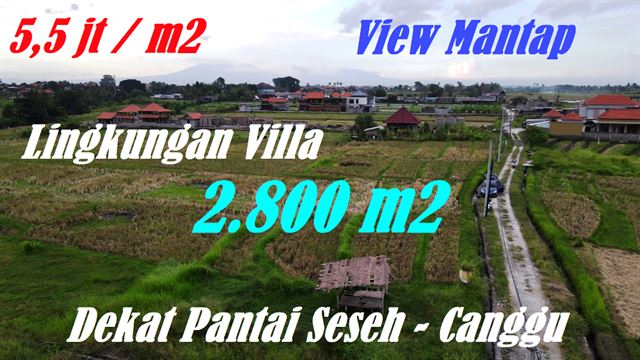 FOR SALE Affordable PROPERTY 2,800 m2 LAND IN Canggu Pererenan BALI TJCG266