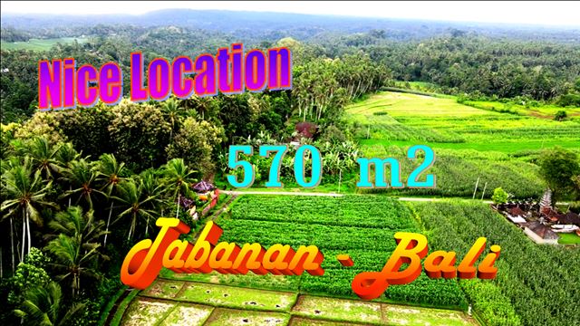 FOR SALE Affordable LAND IN TABANAN BALI TJTB633
