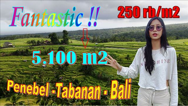 Magnificent PROPERTY 5,100 m2 LAND SALE IN TABANAN TJTB641