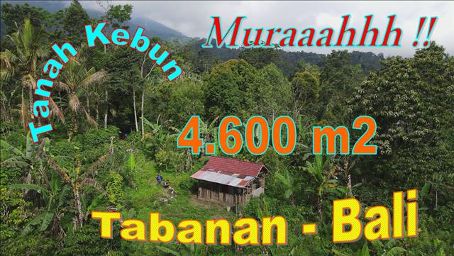 Magnificent PROPERTY 4,600 m2 LAND FOR SALE IN TABANAN TJTB674