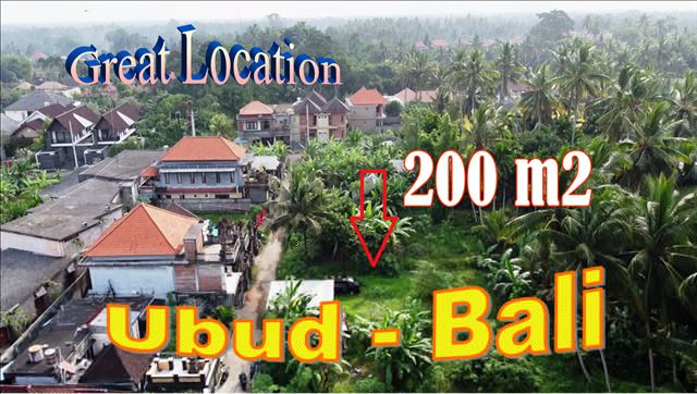 Affordable 200 m2 LAND in Ubud Pejeng BALI for SALE TJUB850