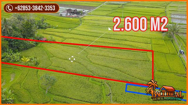 Affordable PROPERTY 2,500 m2 LAND IN TABANAN FOR SALE TJTB691