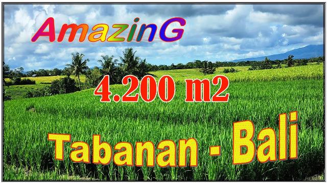 FOR SALE Magnificent LAND IN TABANAN BALI TJTB700
