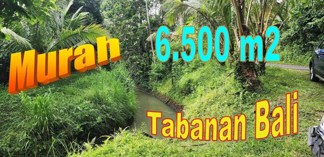 FOR SALE Affordable 6,500 m2 LAND IN Selemadeg Timur TJTB704