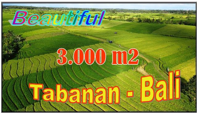 FOR SALE Affordable 3,000 m2 LAND IN Selemadeg Timur TJTB701