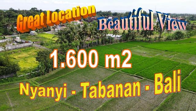 Affordable PROPERTY LAND IN Kediri Tabanan FOR SALE TJTB711