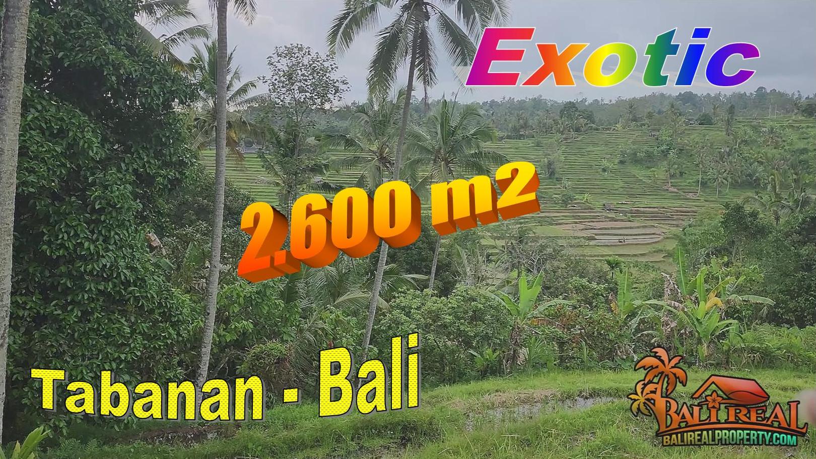 Beautiful PROPERTY 2,600 m2 LAND IN TABANAN FOR SALE TJTB708