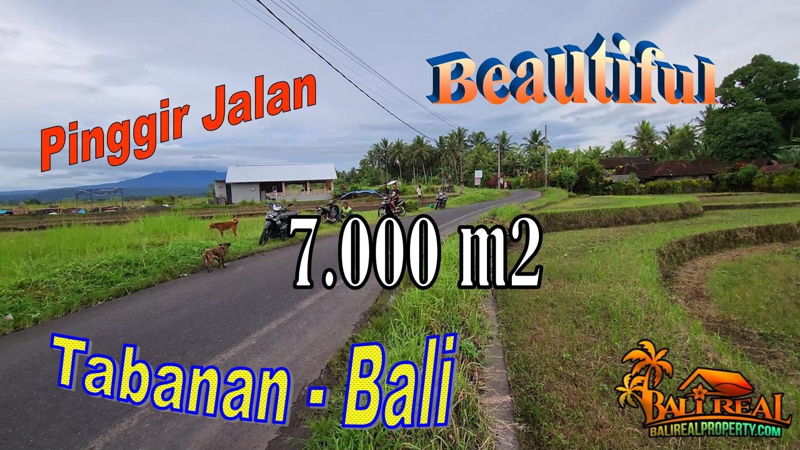 Exotic LAND FOR SALE IN Selemadeg Timur Tabanan TJTB729