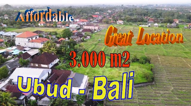 Magnificent Ubud BALI 3,000 m2 LAND for SALE TJUB859