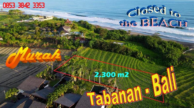 Magnificent LAND IN Selemadeg Tabanan FOR SALE TJTB740