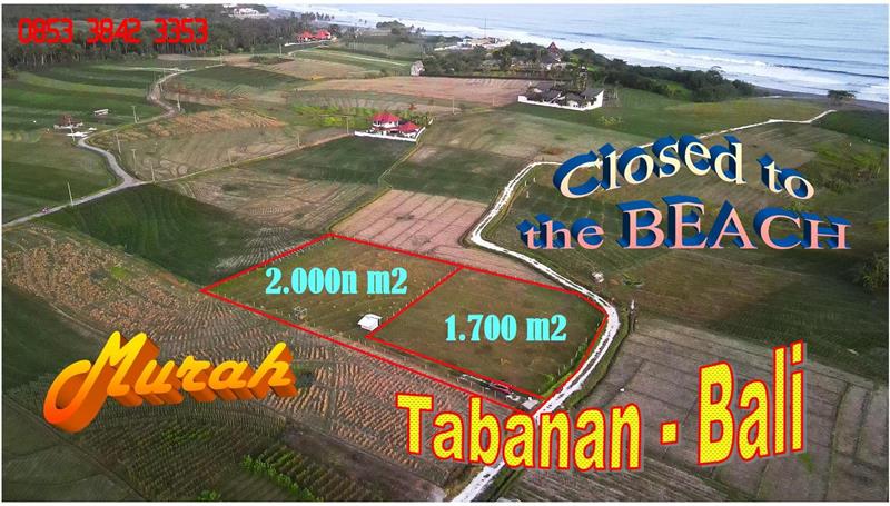 LAND FOR SALE IN TABANAN BALI