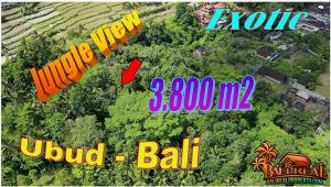 Cheap property LAND SALE in Ubud Tampaksiring TJUB870