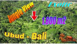 Affordable LAND for SALE in Ubud Tegalalang TJUB872