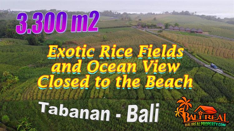 Exotic 3,300 m2 LAND IN Selemadeg Timur Tabanan BALI FOR SALE TJTB766