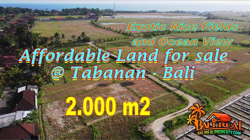 Magnificent LAND IN Kerambitan, Tabanan FOR SALE TJTB769