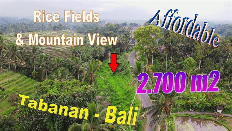 Beautiful LAND IN Penebel, Tabanan FOR SALE TJTB773