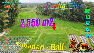 Magnificent PROPERTY 2,550 m2 LAND FOR SALE IN TABANAN TJTB778