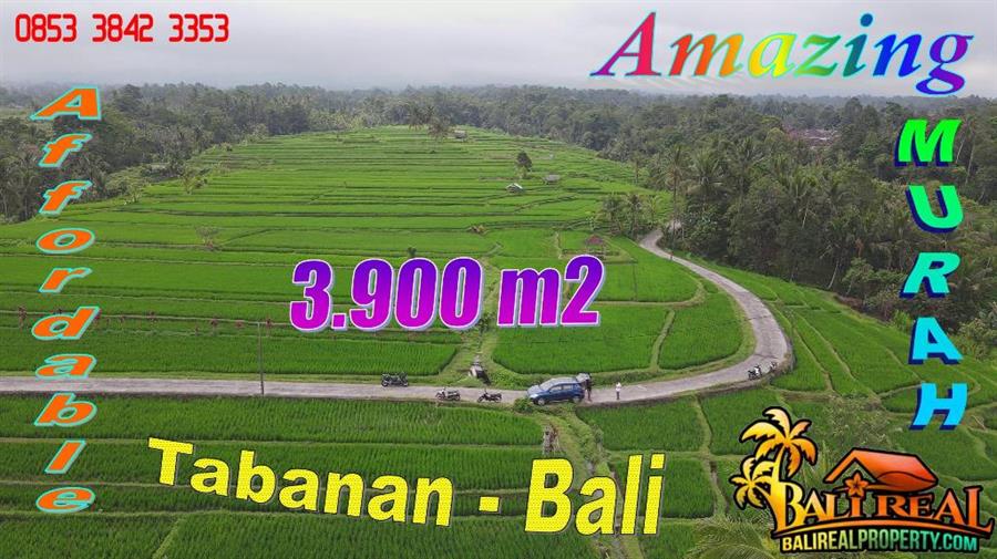 Exotic LAND FOR SALE IN Penebel Tabanan TJTB779